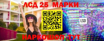 индика Краснознаменск
