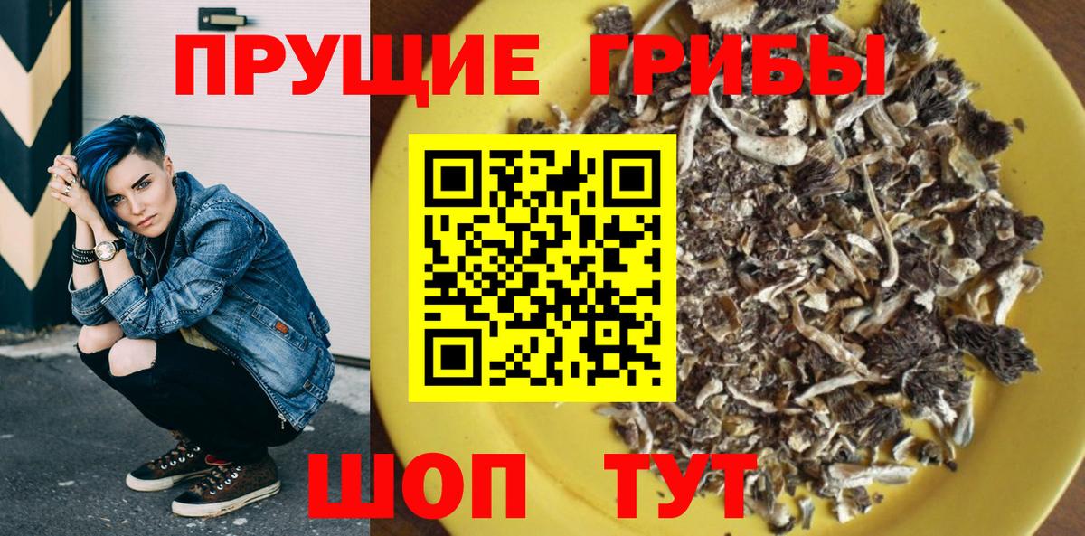 Звенигород  Псилоцибиновые грибы мухоморы  Вход с VPN 